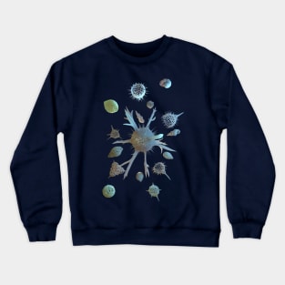 Radiolaria and Foraminifera Crewneck Sweatshirt